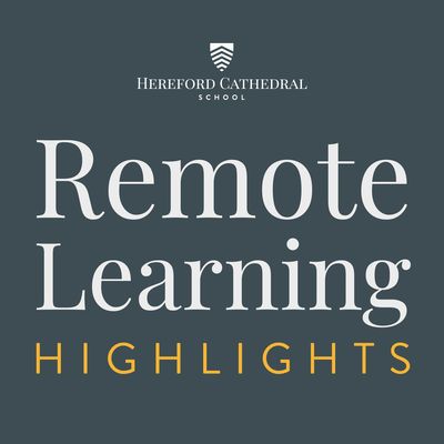 Remote learning highlights